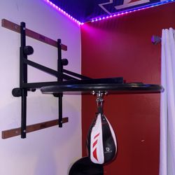 Speed Bag Mount (EVERLAST)  60$