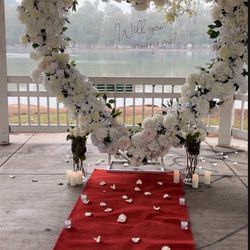 Engagement/ Proposal 