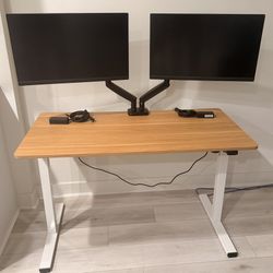 Electric Standing Desk, Adjustable Height Stand Up Desk