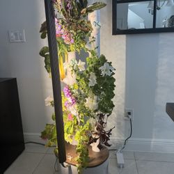 Gardyn Studio (smart indoor Hydroponics System)