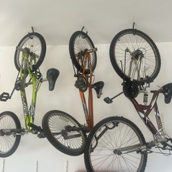 3 Bikes. 2 Youth And 1 Adult. 