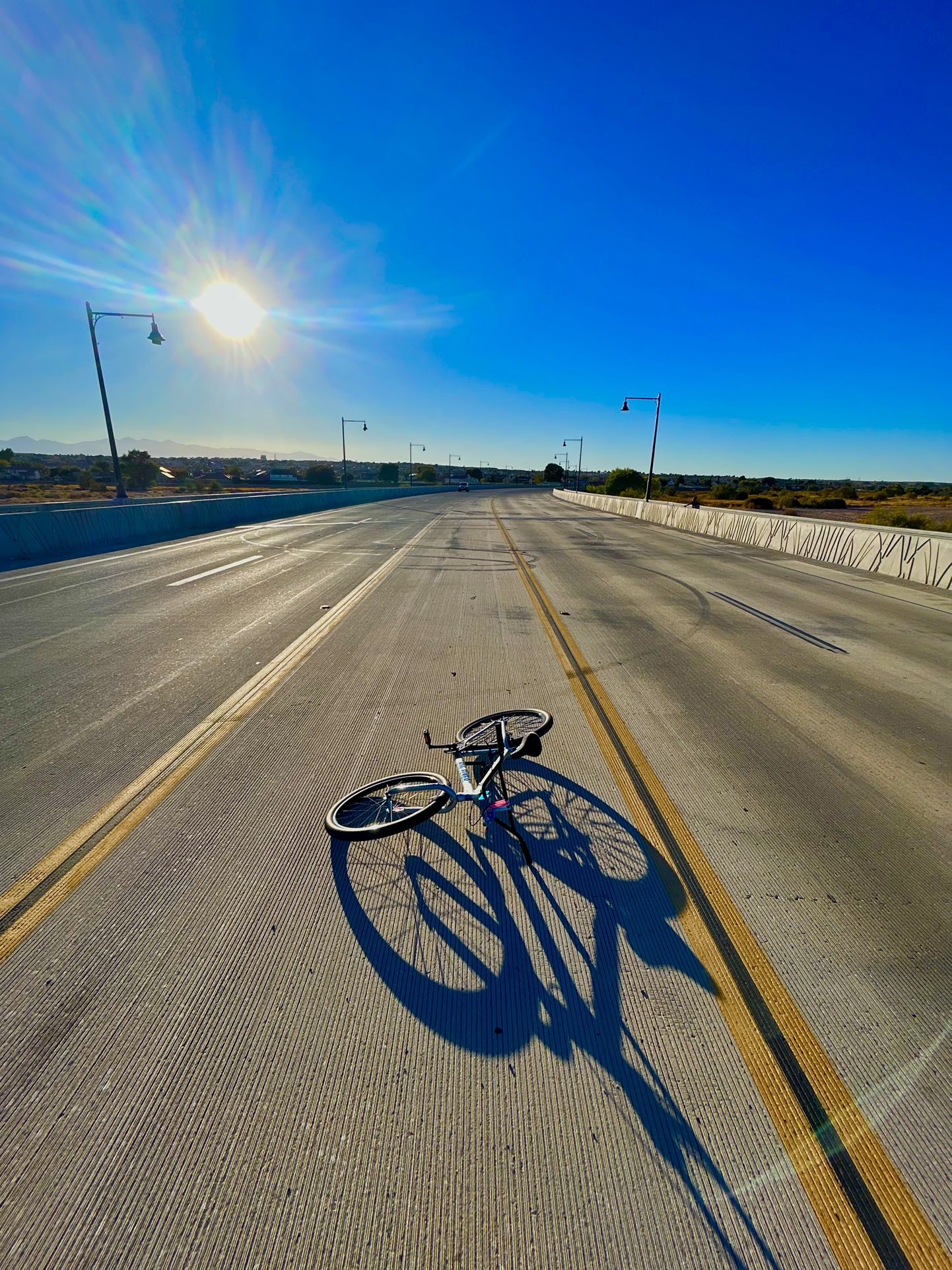 Big Flyer 29 SE BIKE