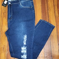 Fashion Nova Plus Size Jeans (NEW)