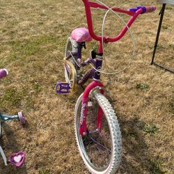 Pink Bike 