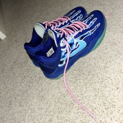Kobe 5 Xray