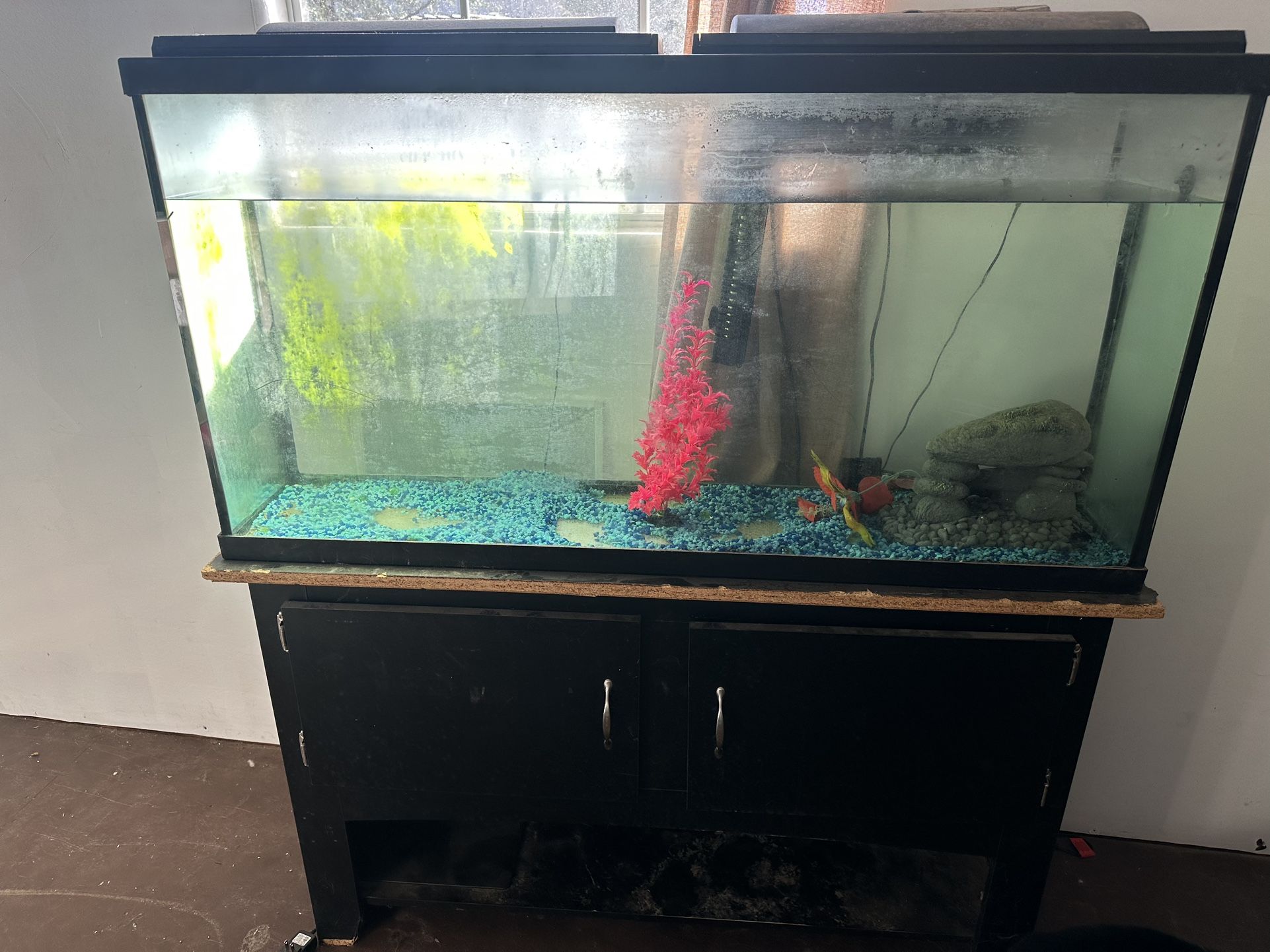 100 Gallon Fish Tank/stand