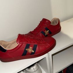 Red Ace Gucci Shoes 