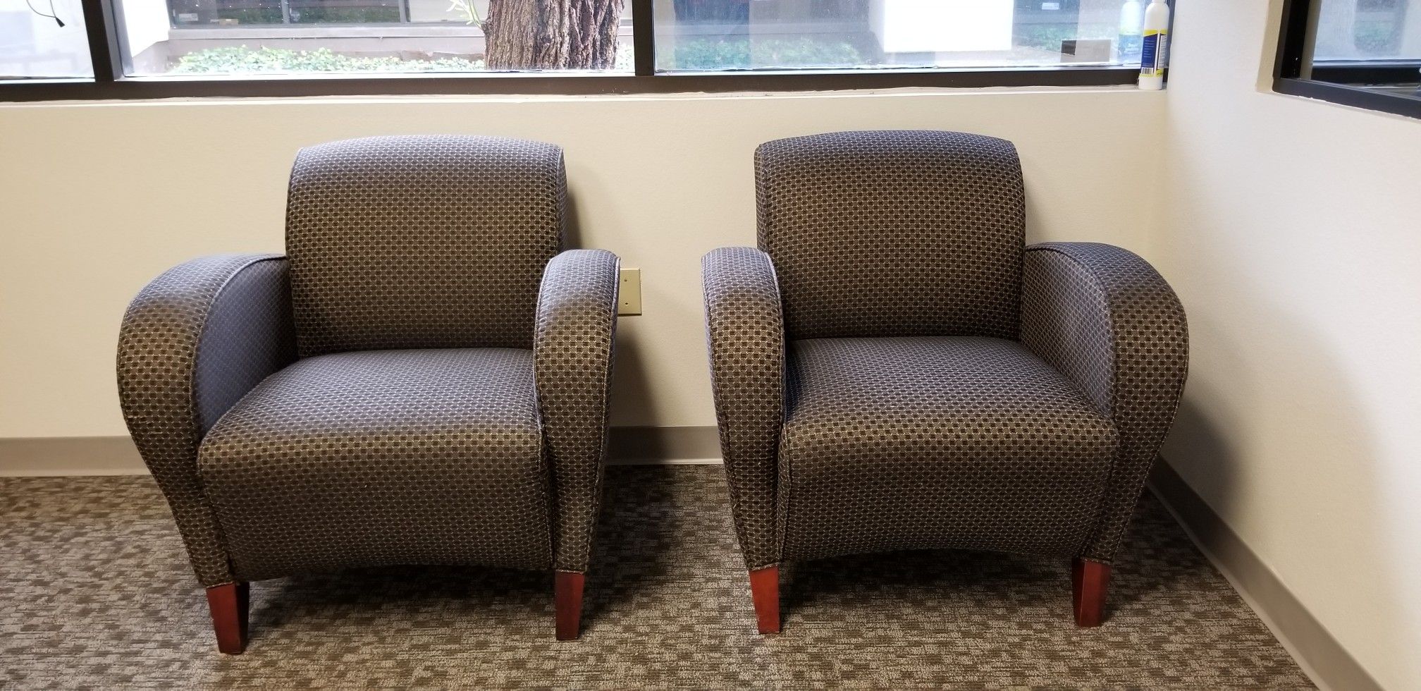 2 Executive Office Chairs