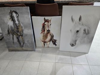 Horse Canvas/Horse Pictures