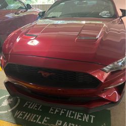 2019 Mustang Eco Premium