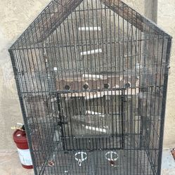 Bird Cage 