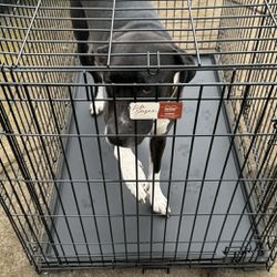 Fold and Carry wire Dog Crate 