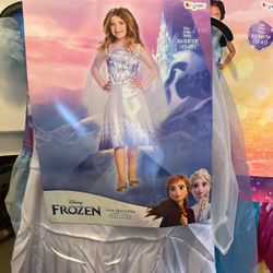 Disney Frozen Snow Keen Elsa Costume 