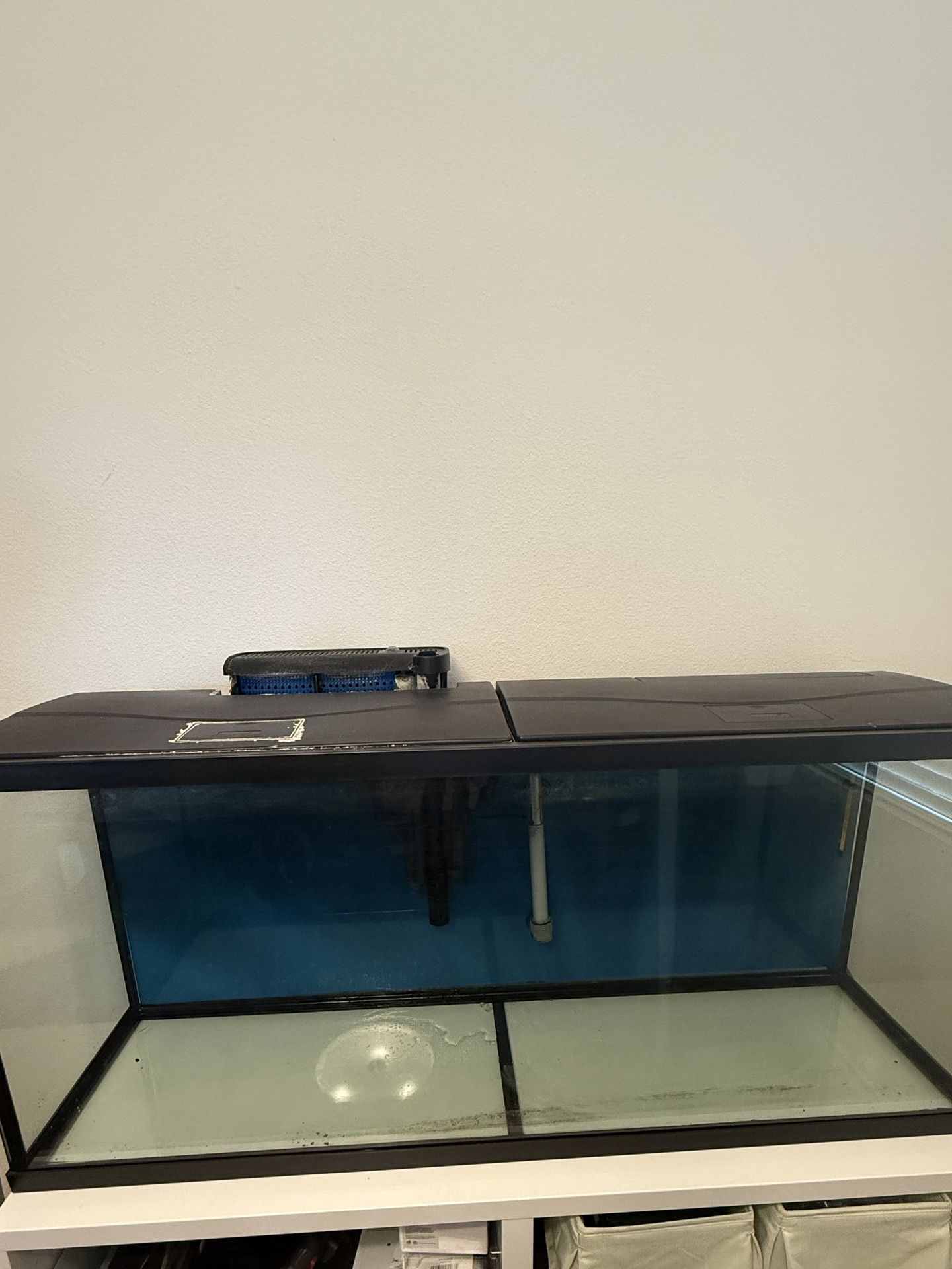 55 Gallon Fish Tank