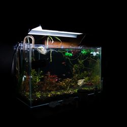 Waterbox 16G Aquarium W Stand Filter Led Co2 Setup Oxygen 