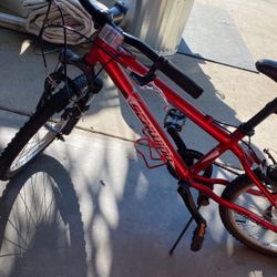 Schwinn 20” Bike