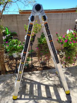22ft Gorilla Ladder | Escalera