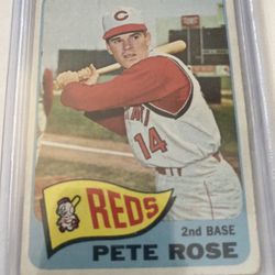 Pete Rose Baseball Card