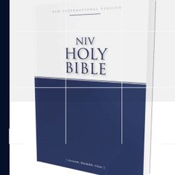 Free NIV Bibles 