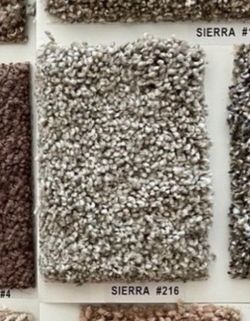 Sierra 216 Carpet Sample