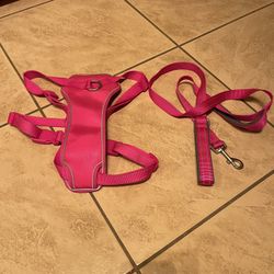 X Large Harness And Leash