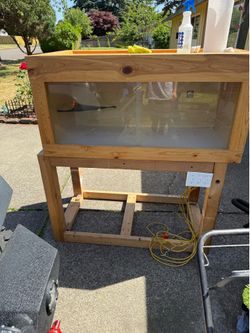 Reptile enclosed
