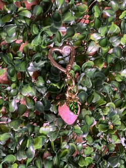 Charms for bags