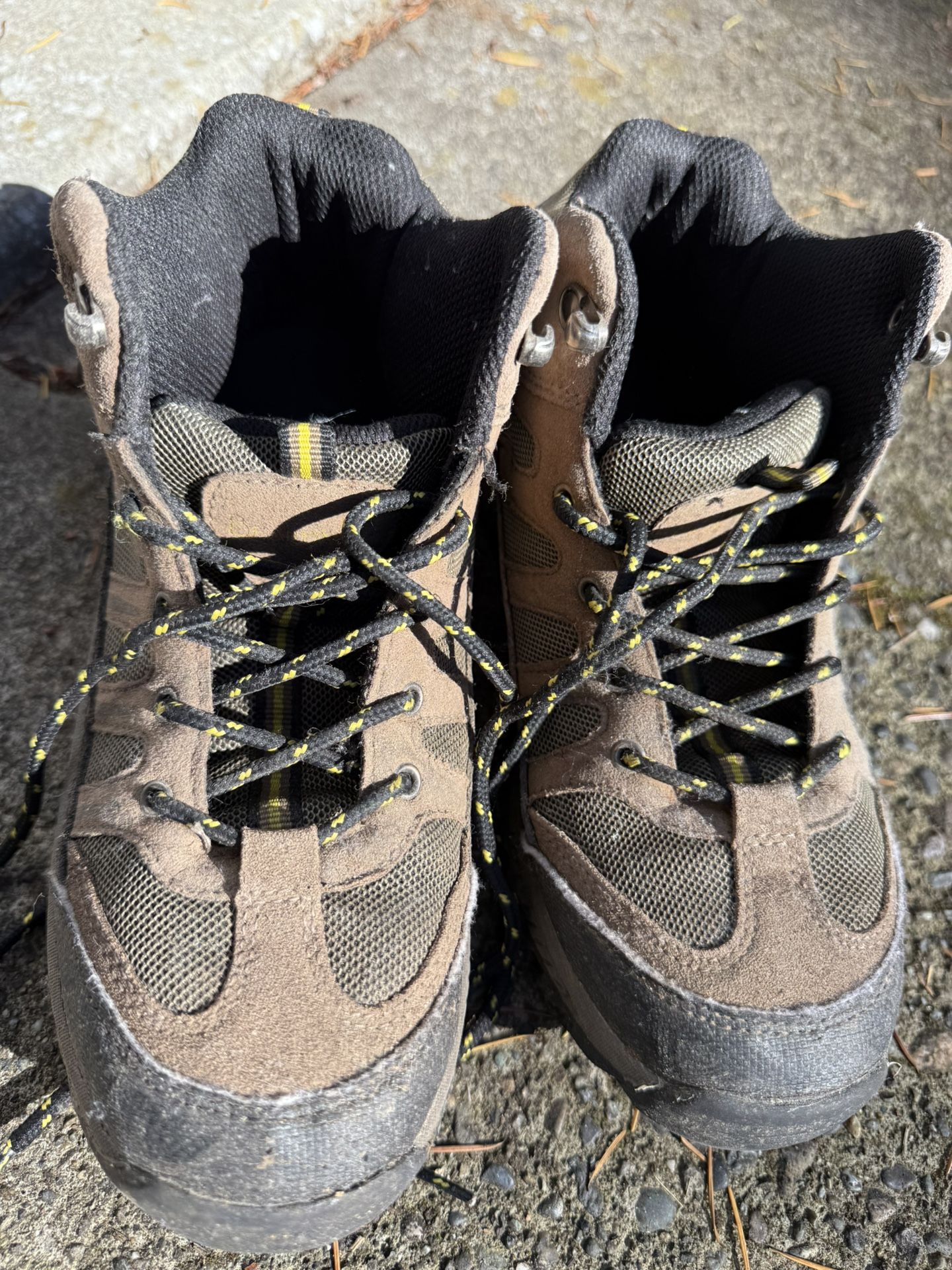 bearpaw size 5 1/2 hiking boots