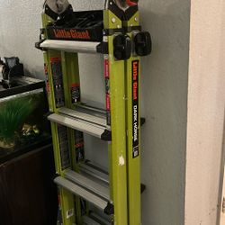 Little Giant Ladder