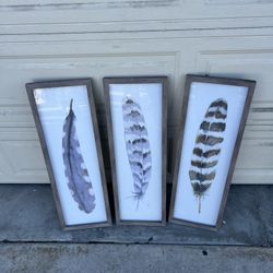 Three Feathers Framed Artwork