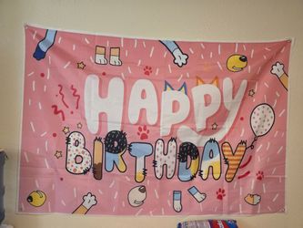 Bluey birthday and minnie