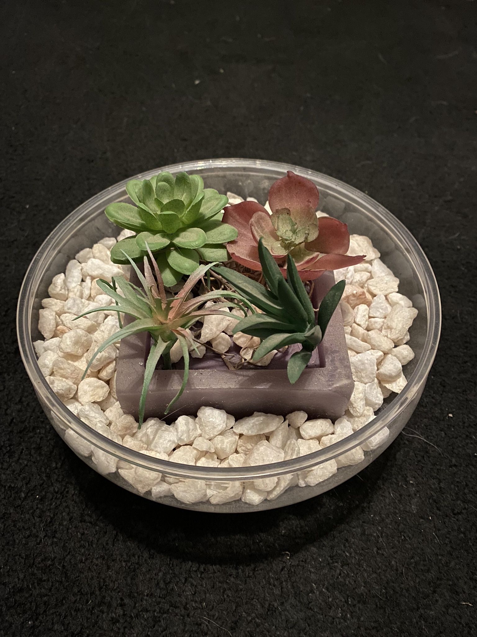 Small 8" Clear Plastic Bowl w/White Rocks & Fake Succulent Plant Table Decor