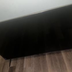 Roku 65 in Tv   Needs new (LCD)