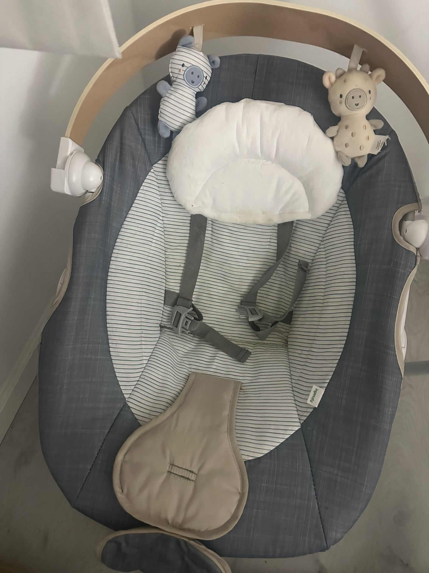 Ingenuity Baby Swing