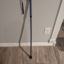 Collapsible Walking Cane
