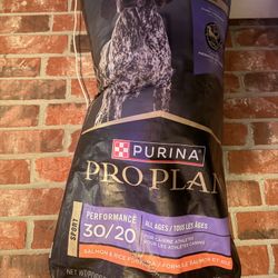 Big boy bag of dog food