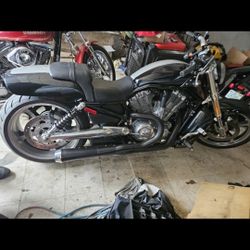 2013 vrod muscle  for sale or trade 