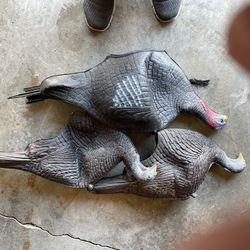 Foam Decoys  One Tom  Two Hens With Stakes 