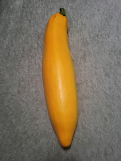 Organic Yellow Zucchini Seeds And Plants! 2026 SEASON EARLY RELEASE! Available Now! Why grow the same boring plants the neighbors have? Make your gard