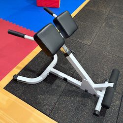 Hyperextension Roman Chair 