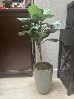Artificial Fig Tree With Pot Included