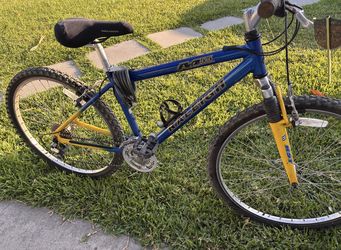 Raleigh mountain bike