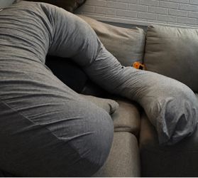 Pregnancy pillow & Baby swing/ bouncer
