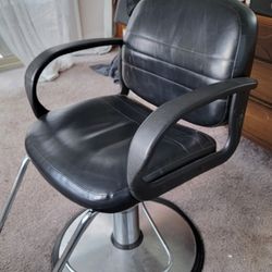 Salon Chair
