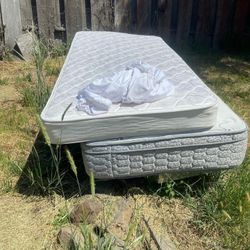 Twin Mattresses Gently Used