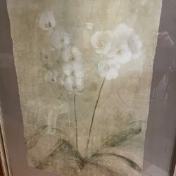 Orchid and Floral Art Work and Frames Pair