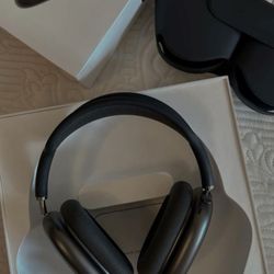 Apple AirPod Pro Maxes