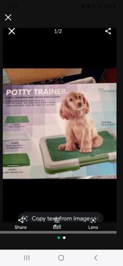 Potty Training