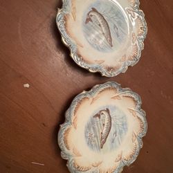 2 Fish Plates