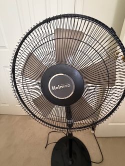 Holmes Black Pedestal Standing Fan